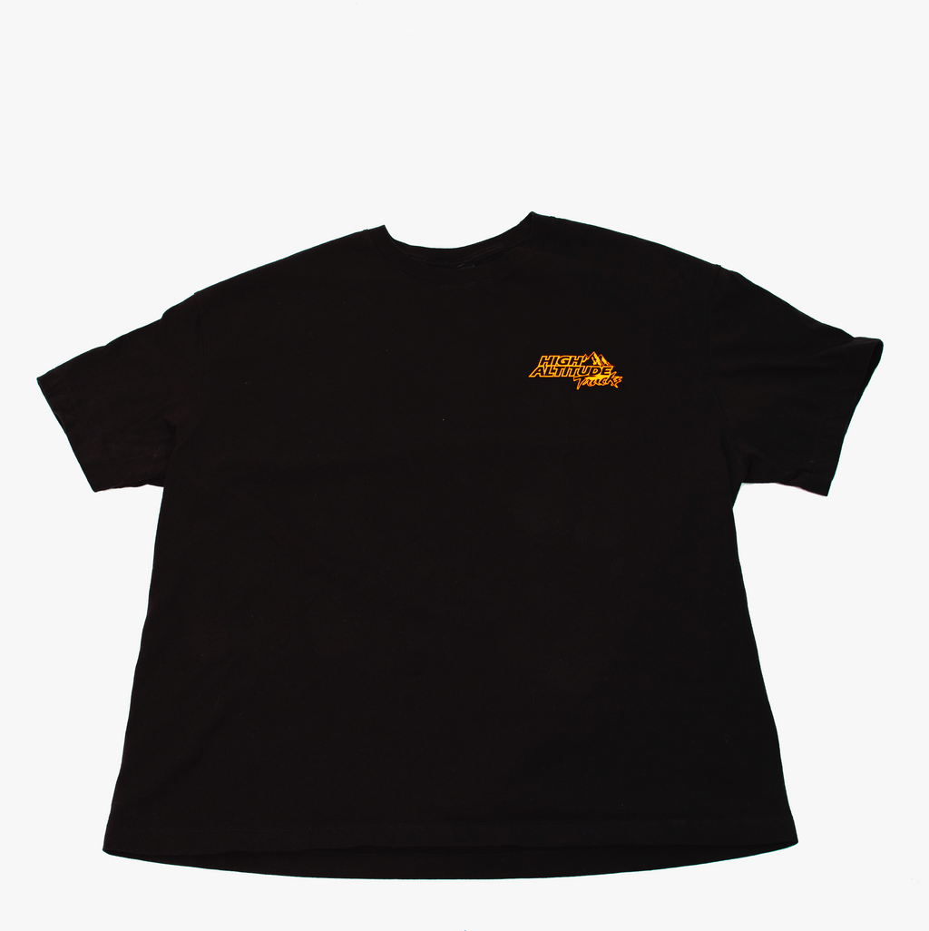 CELEBRATING 10 YEAR'S TEE (STANDARD SIZE)